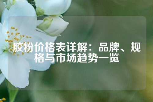 胶粉价格表详解：品牌、规格与市场趋势一览