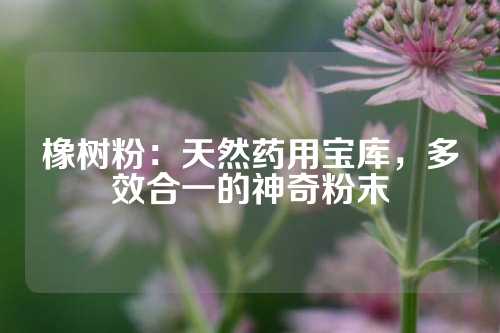 橡树粉：天然药用宝库，多效合一的神奇粉末