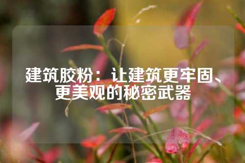 建筑胶粉：让建筑更牢固、更美观的秘密武器