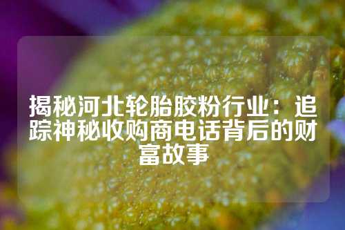 揭秘河北轮胎胶粉行业：追踪神秘收购商电话背后的财富故事
