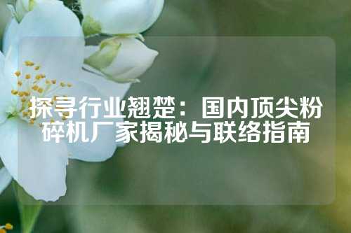 探寻行业翘楚：国内顶尖粉碎机厂家揭秘与联络指南
