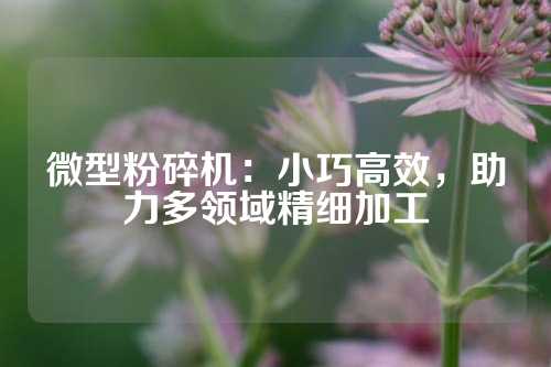 微型粉碎机：小巧高效，助力多领域精细加工