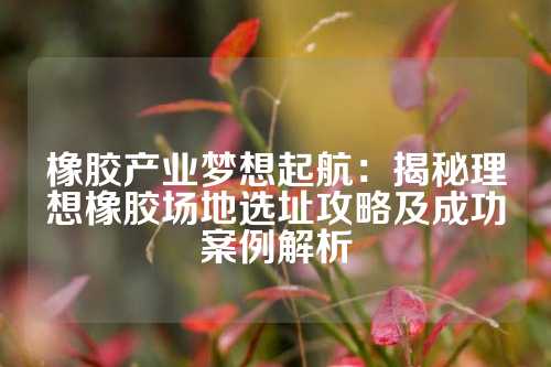 橡胶产业梦想起航：揭秘理想橡胶场地选址攻略及成功案例解析