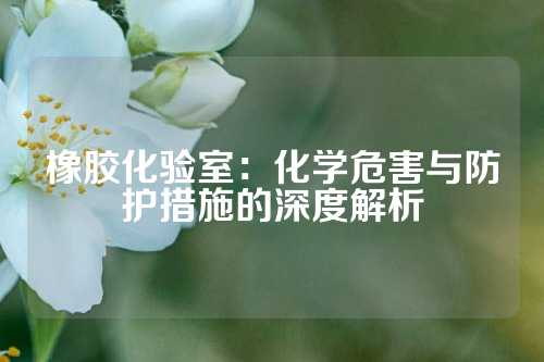 橡胶化验室：化学危害与防护措施的深度解析