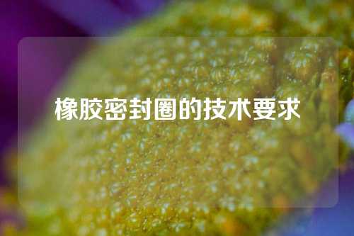 橡胶密封圈的技术要求