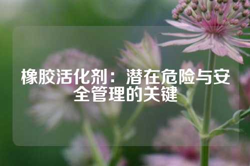 橡胶活化剂：潜在危险与安全管理的关键