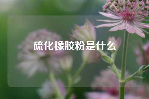 硫化橡胶粉是什么