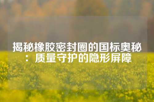 揭秘橡胶密封圈的国标奥秘：质量守护的隐形屏障