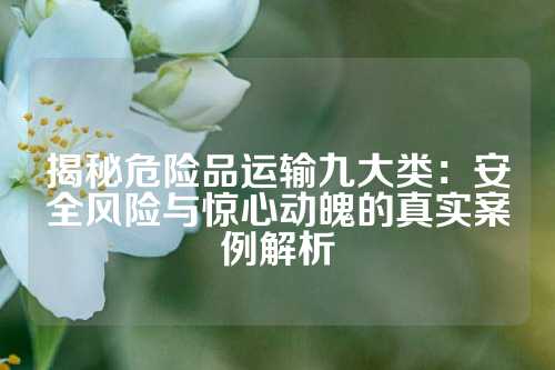 揭秘危险品运输九大类：安全风险与惊心动魄的真实案例解析