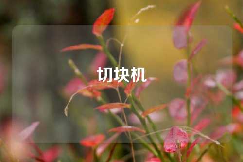 切块机